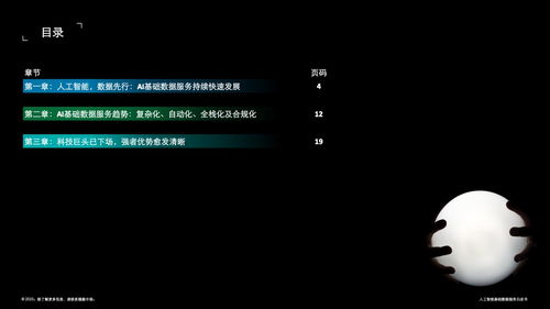 德勤咨询 人工智能基础数据服务与软件开发白皮书